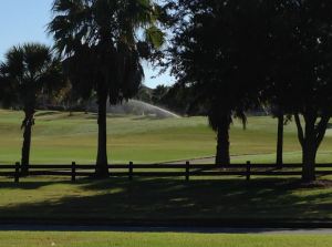 sprinkler_photo_2015-11-19_0754